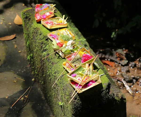 Canang sari — offrandes de fleurs colorées et d’encens sur un muret moussu